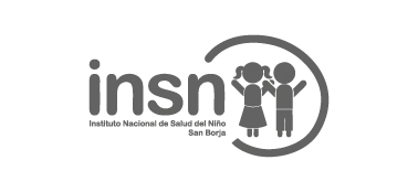 Logo INSN